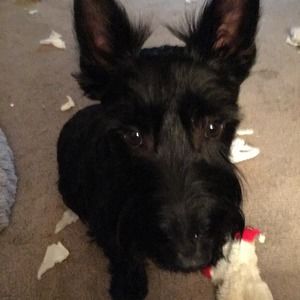 Meet your Posher, Donna